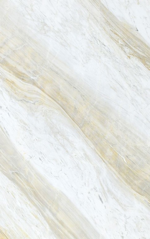 Luxury marble slab with gold pattern