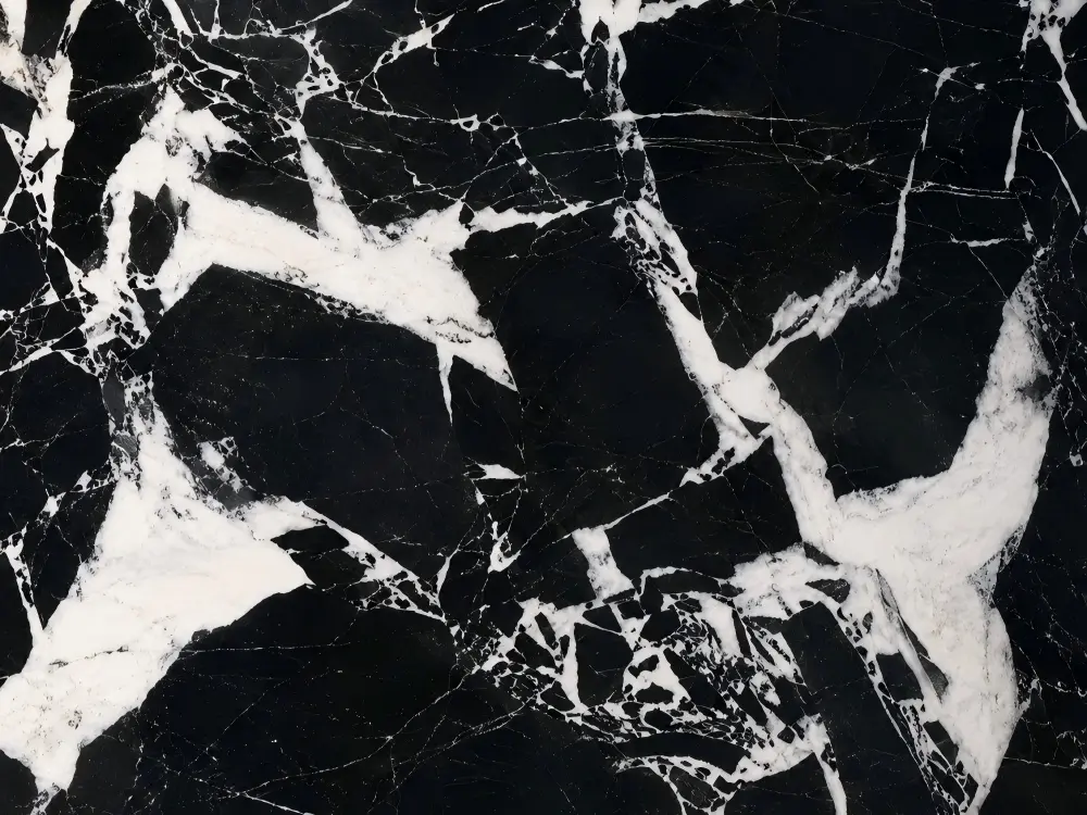 Noir Grand Antique Marble Detail 2
