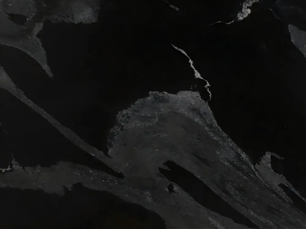 Python Black Granite Detail