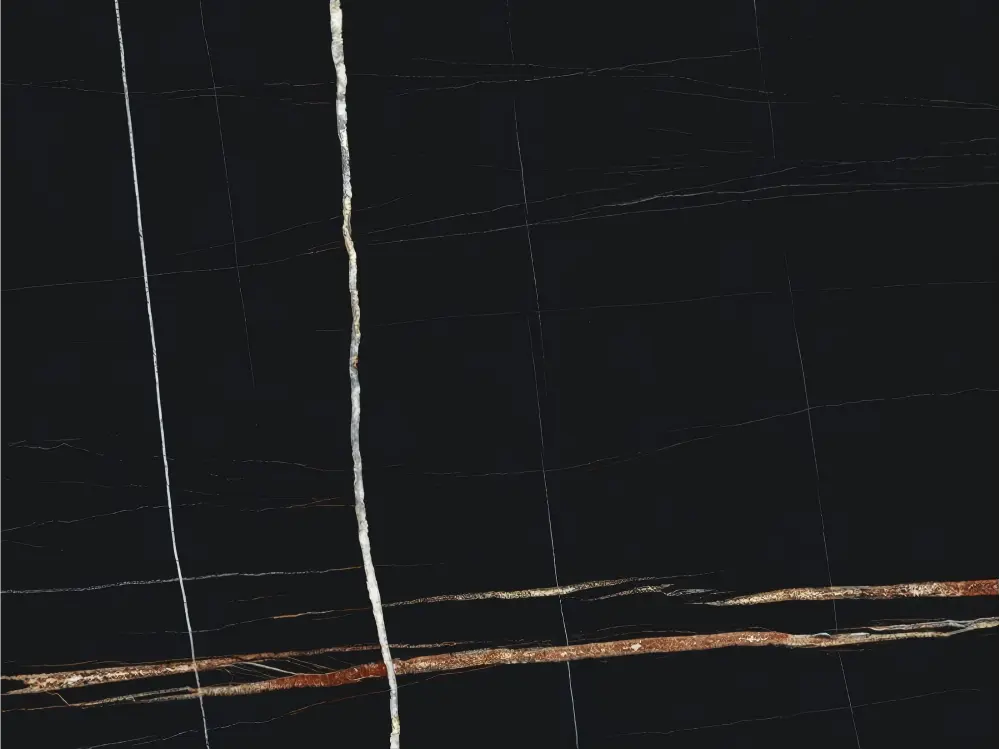 Sahara Noir Marble Detail