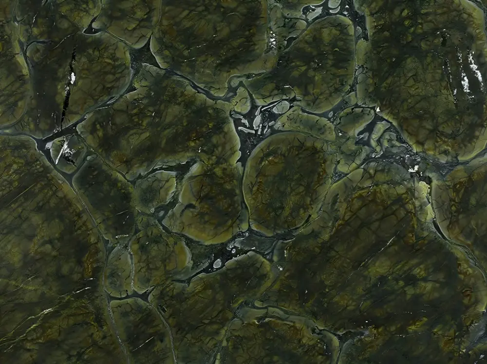 Vitoria Regia Quartzite Detail