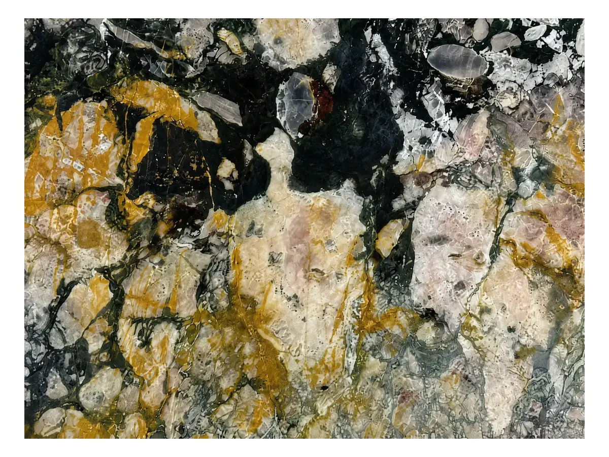 Breche De Benou Marble Surface Detail Breche de Benou Marble surface detail