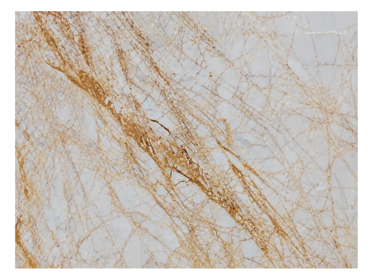 Greek Golden Spider Marble Surface Detail Greek Golden Spider Marble surface detail