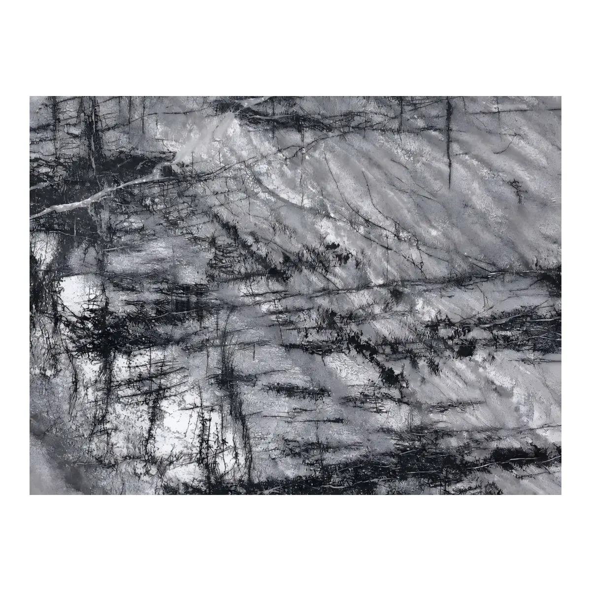Italian Silver Fir Grey Marble Surface Detail Italian Silver Fir Grey Marble surface detail